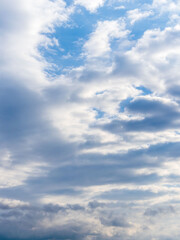 秋雨の日の束の間の晴れ間27