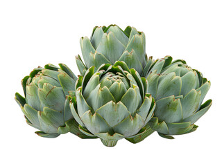 Obraz premium Whole artichoke with intricate petals, perfect for gourmet dishes.
