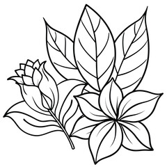 Elegant line drawings of various leaves and flowers, with intricate vein details, creating a calming botanical aesthetic Adobe Illustrator Artwork
