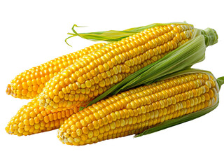 Close-up of corn kernels with husk, highlighting its fresh and organic appeal.