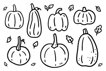 A set of pumpkins isolated on a white background. Vector hand-drawn doodle illustration. Perfect for decorations, menu, logo, various designs.