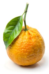 yuzu on white background