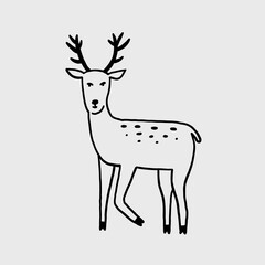 Hand Drawn Deer Illustration