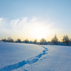 snowbound fir forest glade with human track at the sunset