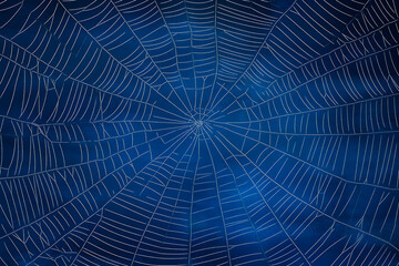 Obraz premium Intricate Spiderweb, A Blue Abstract Nature Background