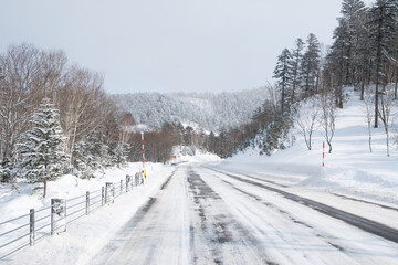 道中の雪景色