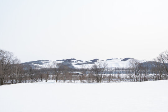 北海道の雪景色
