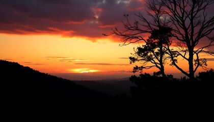 Obraz premium fit for the image background