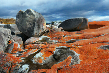 Bay of Fires coastline at sunrise, Tasmania. Orange lichen on boulders, natural attraction. Australia