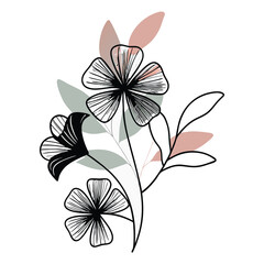 a minimalist vector illustration of delicate flowers with thin, black, wireframe petals and soft gradient coloring