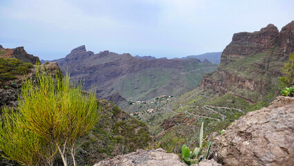 Blick in die Masca-Schlucht auf Teneriffa