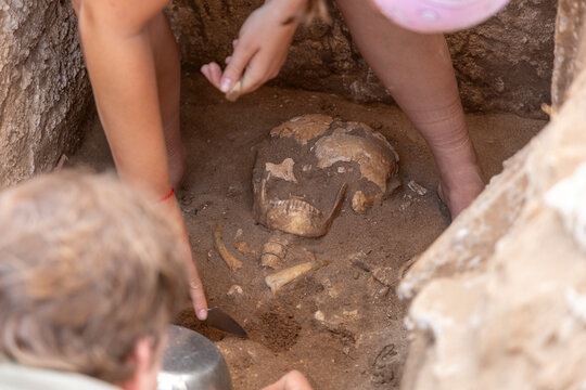 ARCHAEOLOGY HUMAN REMAINS