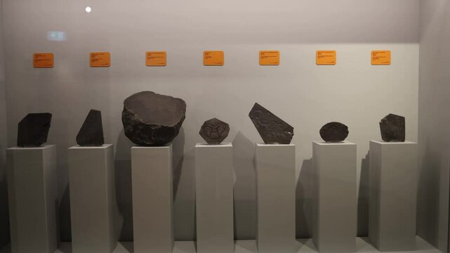 A collection of rocks and minerals displayed on pedestals with orange labels describing their origins. A curated look into geological formations and natural diversity. 