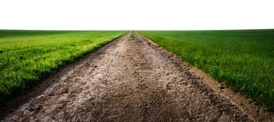 Grass and soil road landscape