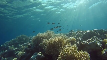 Obraz premium such a beautiful pictures