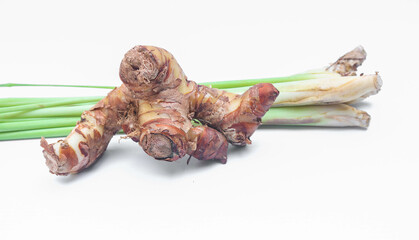 Large and fresh galangal root with slices isolated on white background. galangal or alpinia galanga isolated in white background. Top view.