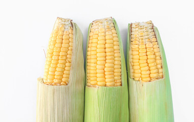 Three half-peeled yellow corn isolated on white background. Fresh an ear of corn with green leaves
