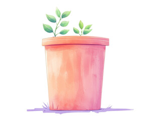 Obraz premium Potted plant with vibrant green leaves on a white isolate background.