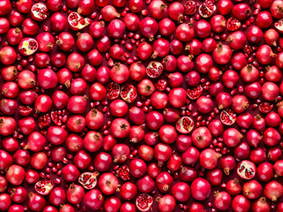 Pomegranate Pattern Background