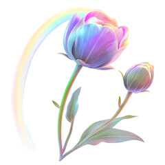 Colorful peony flower with rainbow elements on a white isolate background