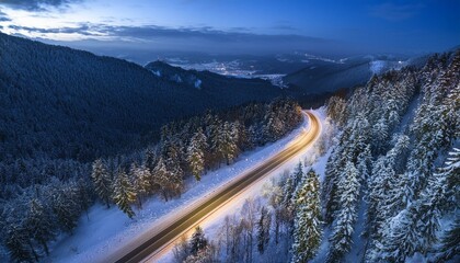 Night winter forest road
