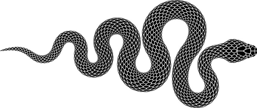 Vector tattoo design of snake wriggled in the shape of a triangle. Isolated silhouette of a triangular formed black serpent.