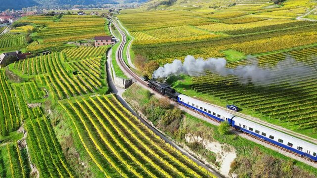 Aerial view of autumn vineyards and a steam locomotive traveling through fields, Krems, Austria.