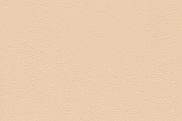 Soft Powder Beige Leather Texture with Subtle Grain for Backgrounds and Design