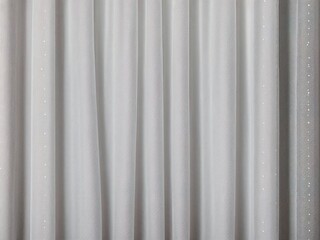  White sheer fabric with flowing pleats.