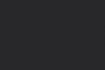 Fototapeta premium Classic Black Leather Background with Fine Textured Grain