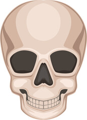 A skull with a smile on it