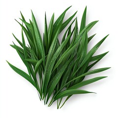 Obraz premium Fresh green leaves arranged artistically, showcasing vibrant colors and textures, ideal for nature themes or botanical designs.