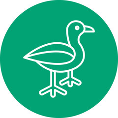 Seagull line circle icon