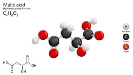 Molecule of Malic acid. E296 Food additive. 3D model of 2-Hydroxybutanedioic acid. Molecular formula: C4H6O5. White background. 3D illustration