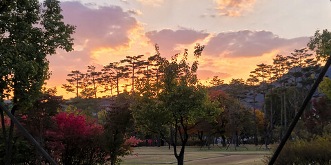 Beautiful Autumnal Garden in Gyeongbokgung Palace, with stunning sunset sky, in Seoul, Korea	
