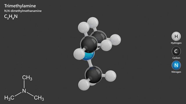 Trimethylamine. Animated 3D model of a molecule. Molecular formula: C3H9N. Chemical model: Ball and sticks. Gray background. 3D rendering. Seamless loop.