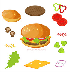 Burger ingredients vector