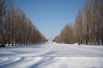 札幌市手稲区の前田森林公園の冬の様子