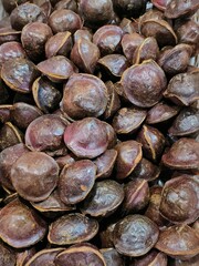 collection of jengkol fruit in boxes at the market