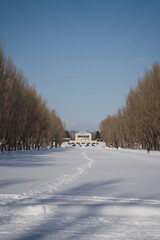 Fototapeta premium 札幌市手稲区の前田森林公園の冬の様子