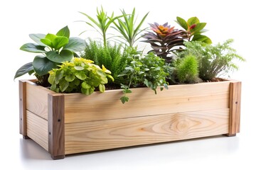Wooden planter box with plants on white background
