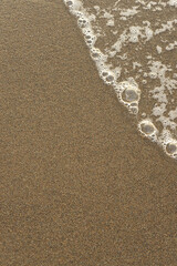 The edge of a sandy beach with a gentle wave leaving a line of frothy seafoam. The sand has a fine texture with small grains, creating a smooth and natural look. Sunlight highlights the bubbles in the