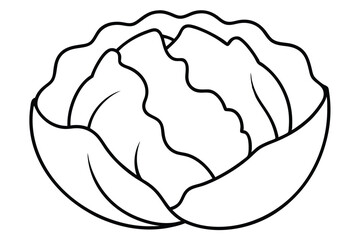 Cabbage line art vector illustration