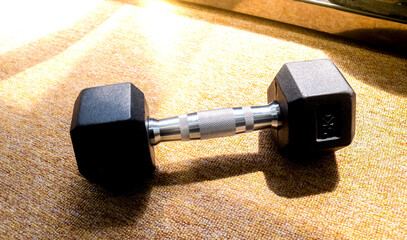 5 kilogram dumbbell gym equipment on the floor with sunlight. Dumbbells to train arm muscles