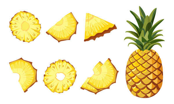 Vector image of Whole pineapple and sliced pineapple slices on white background. Citrus fruit slices. Set of icons Ripe and tasty product