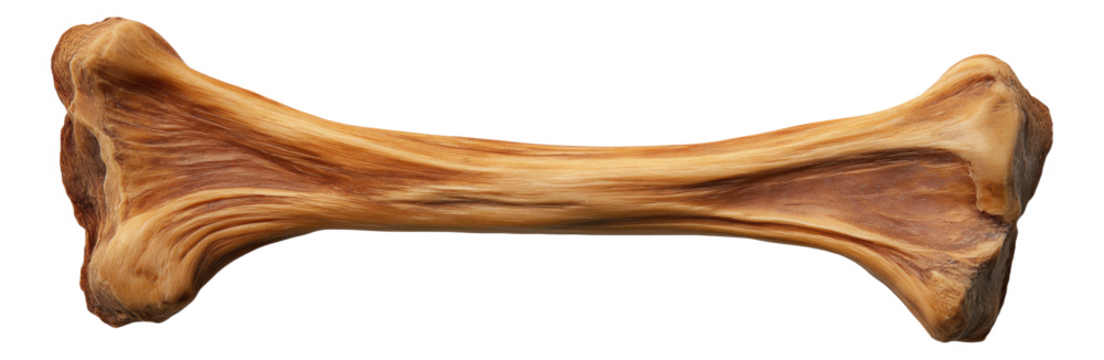 A single piece of rawhide bone for dogs isolated on white.