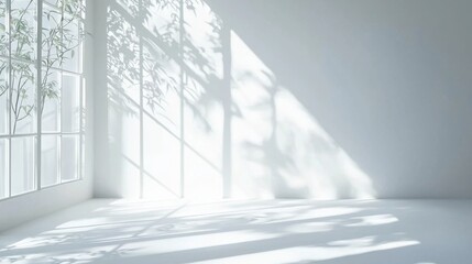 Fototapeta premium Minimal abstract light gray background for product presentation. Soft shadow and light from windows on white wall.