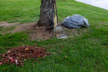 Raking leaves and cleaning up the garden in a residential area on a sunny day
