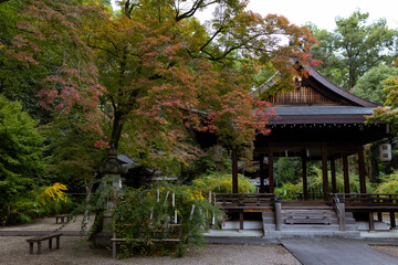 秋の梨木神社