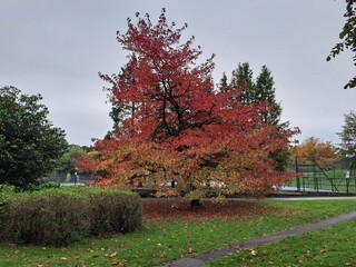 Valley Gardens, Harrogate